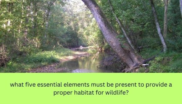 what five essential elements must be present to provide a proper habitat for wildlife?